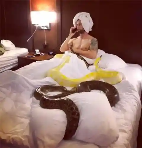 Room Service or Snake Service?