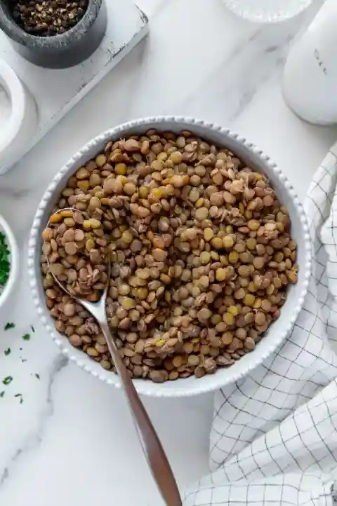 렌틸콩