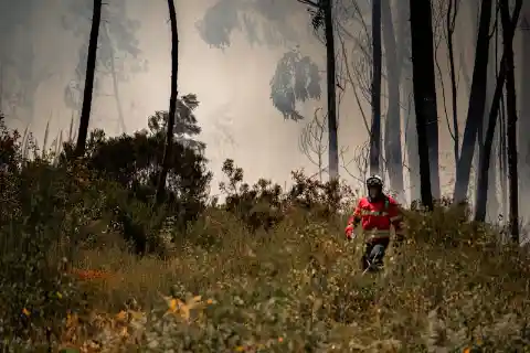 Rescue