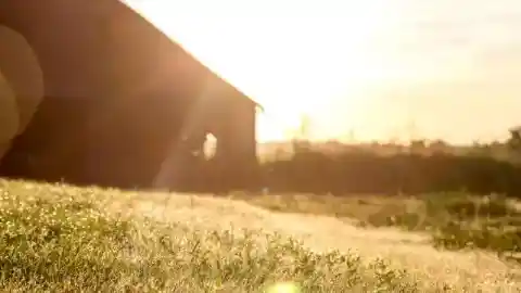 何も珍しいことはありません