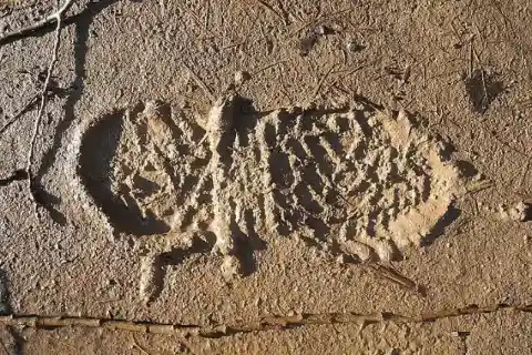 Mystery Marks