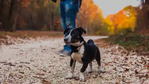 Another Ominous Walk