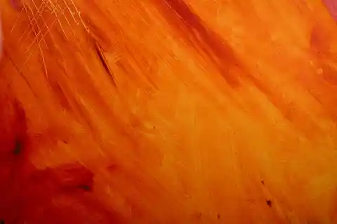 Blood Running Cold