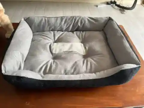 Pet Supplies