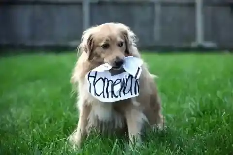 Lawsuit For Not Paying