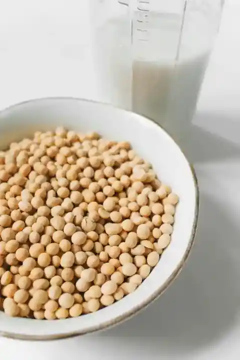 콩(대두)