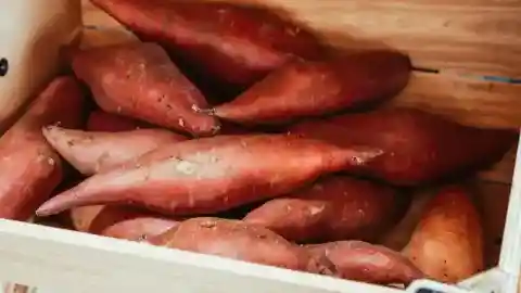 고구마