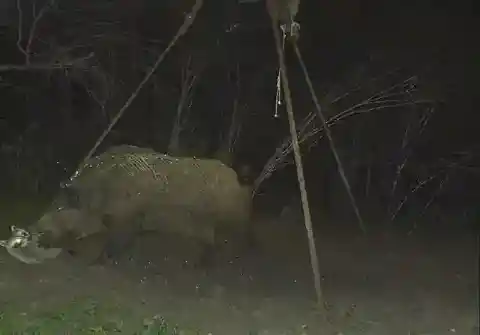 ‘’He’s Mine’’