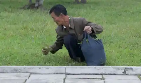 Uprooting Grass At The Park