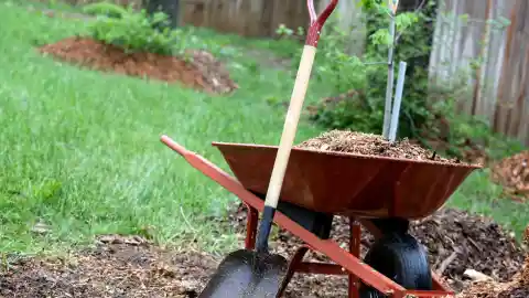 Grabbing A Shovel