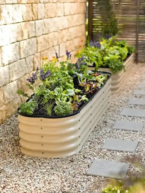 Bathtub Planter