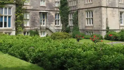 An Expensive House