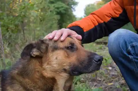 Revived by Friendship