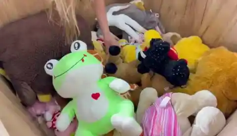 Stuffed Animals