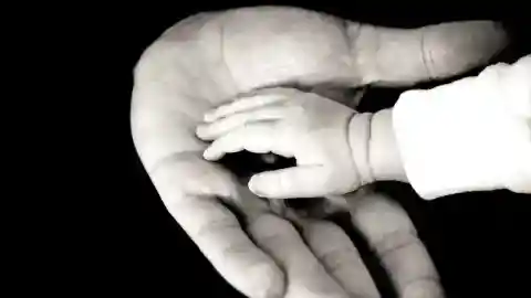 She Just Wanted To Know