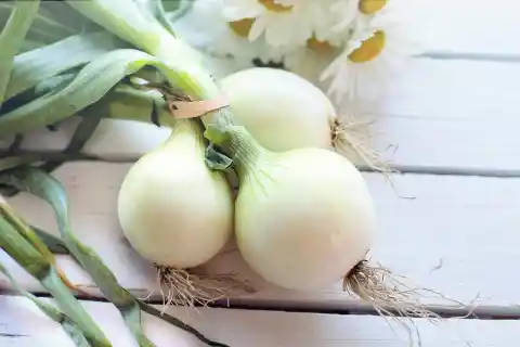 Onion