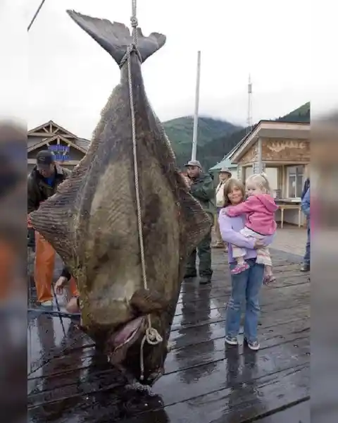 The Biggest Fish Are In Alaska