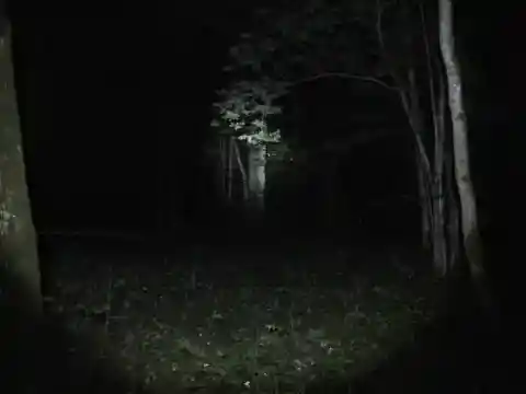 闇を駆ける