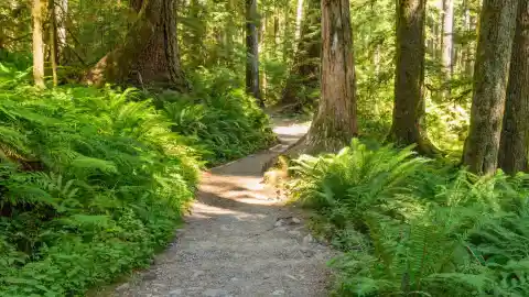 A Day Like Any Other