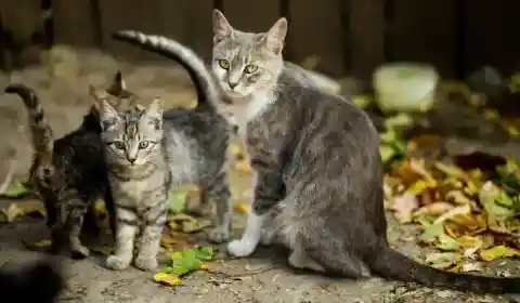 彼は彼女の心を奪った