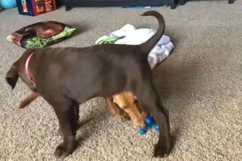 生まれたときから個性的で唯一無二