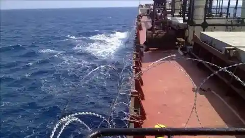 罠の仕掛け