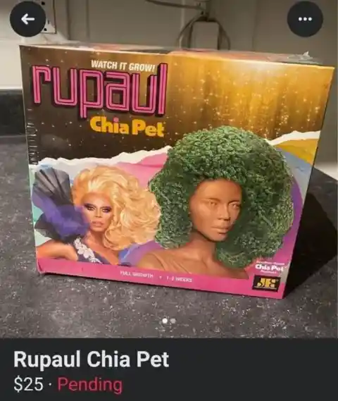 Chia Pet