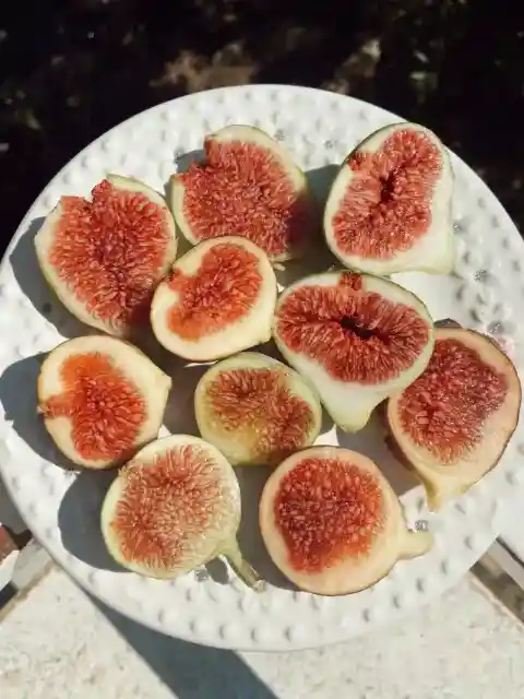 무화과