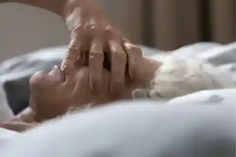 眠れぬ夜の思考