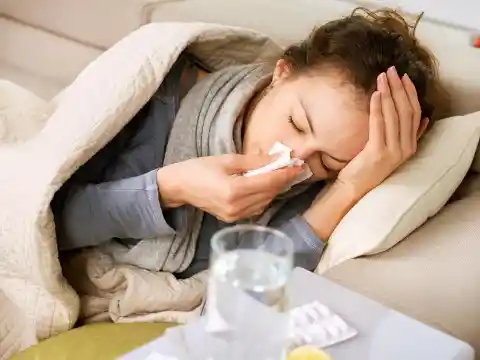 Sick As A Dog