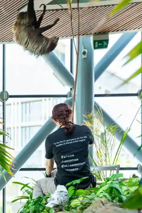 희망의 상징