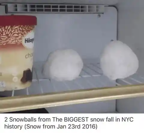 Do You Want To Buy A Snowball?