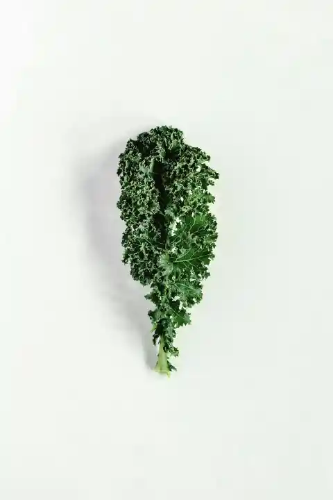 Kale