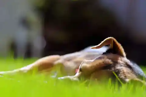  Gentle Awakening