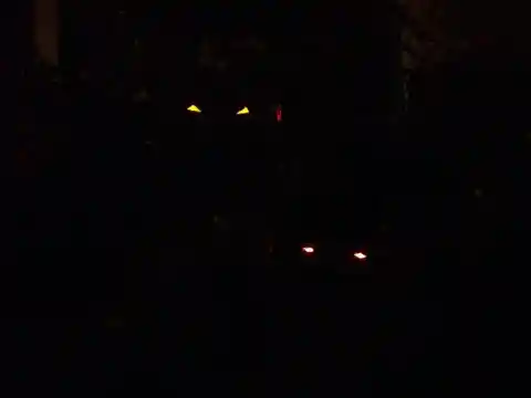 Eyes Within The Darkness