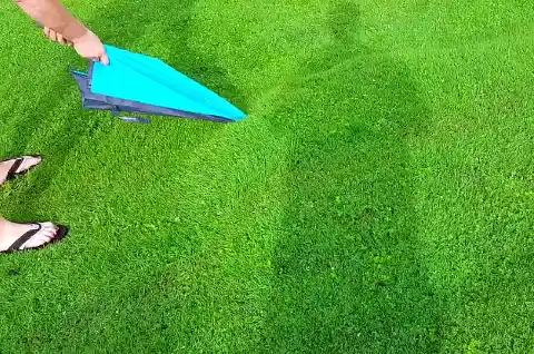 Popping The Bubble