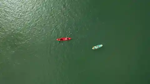 What Is That?