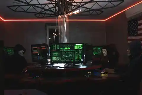 Exposing The Network