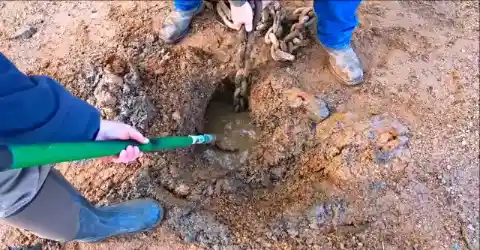 Getting The Authorities Involved