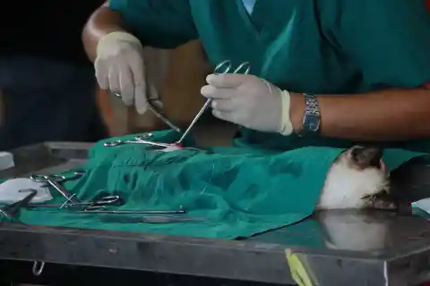 A Rare Case