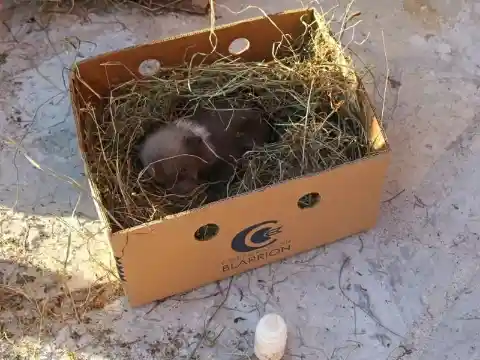 Taking It Home