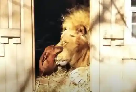 Truly Special Friendship