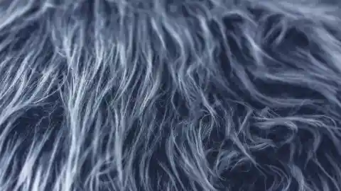 Springing Into Action