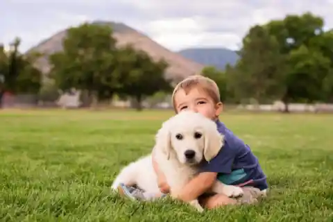 A Bundle Of Fur