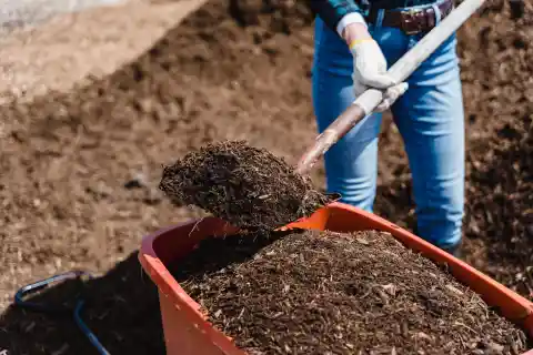Getting To Work