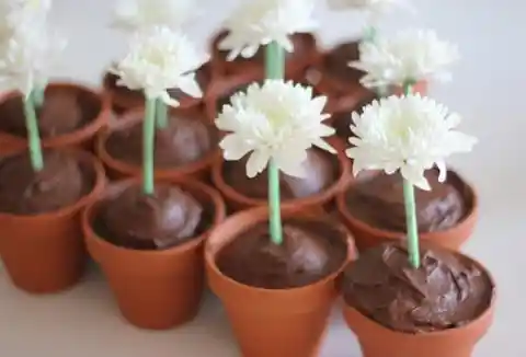 Dessert Cups