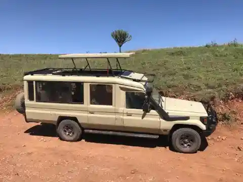 コールの警戒する護送