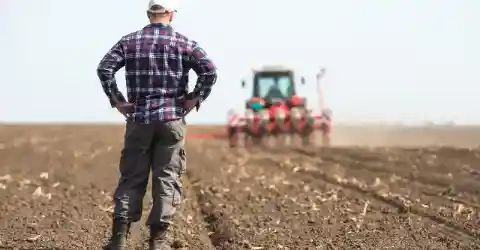 Swallowing Itself Whole