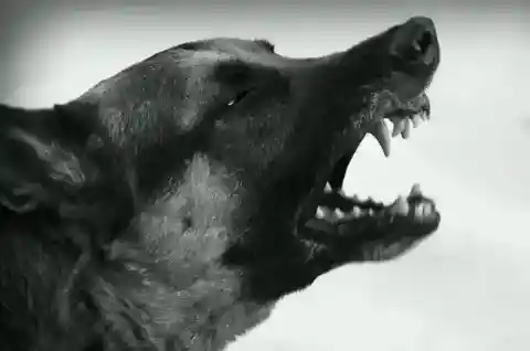 A Sight She'll Never Forget