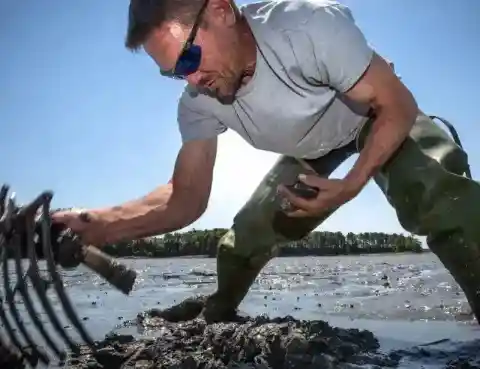 Could Not Shake The Feeling